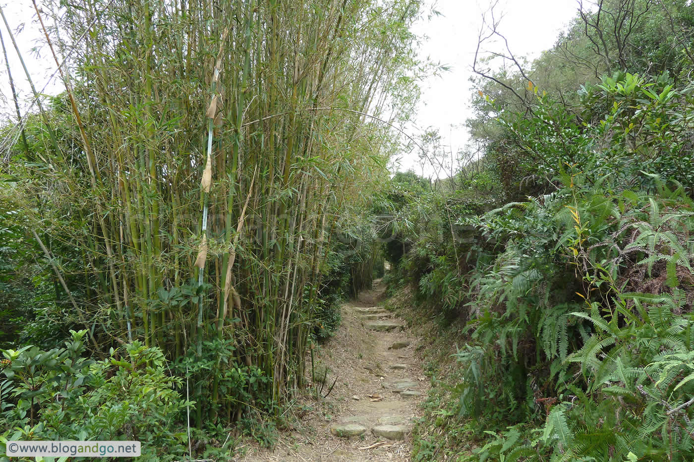 Lantau Trail 9 - To Distance Post L91